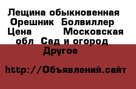 Лещина обыкновенная (Орешник) Болвиллер › Цена ­ 850 - Московская обл. Сад и огород » Другое   